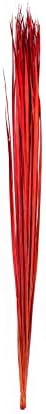 Leewadee Tall Vase Filler Red 45 Inch Natural Grass Stems