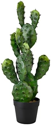 Serene Spaces Living Artificial Prickly Pear Cactus in Black Pot