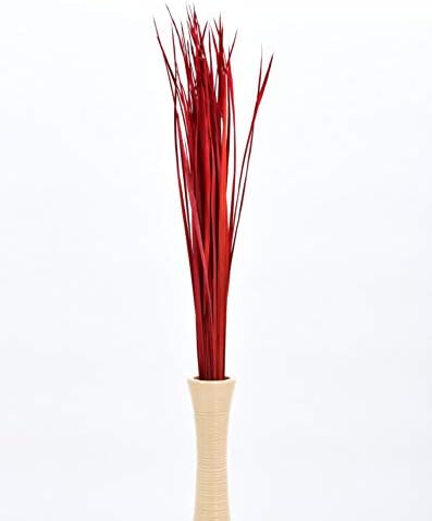 Leewadee Tall Vase Filler Red 45 Inch Natural Grass Stems