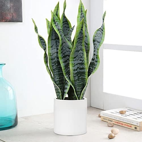 Hollyone Artificial Snake Plant with Solid Wood Stand