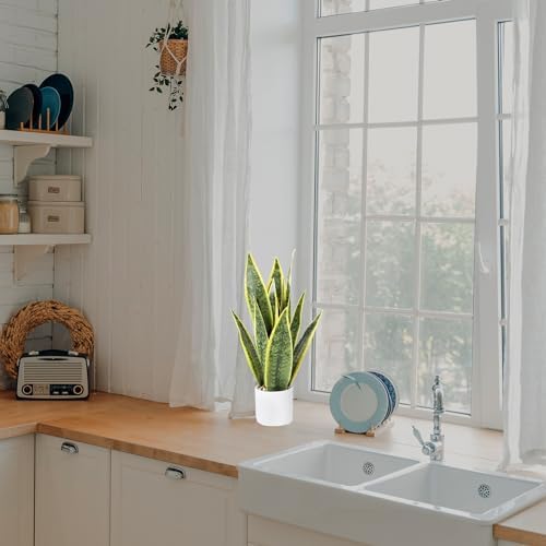 215 Inch Artificial Snake Plant Yellow in White Pot