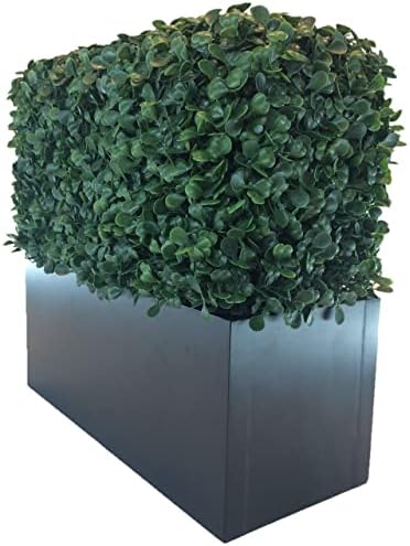 Artificial Boxwood Topiary Shrub Hedge Wall Greenery 12 Inch Rectangle Modern Decor