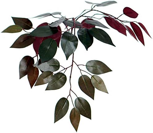 Vickerman 4 Feet Artificial Capensia Bush in Rattan Basket