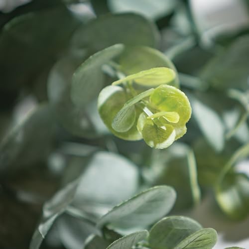 Sullivans Artificial Eucalyptus Stems Set of 3 18 Inch
