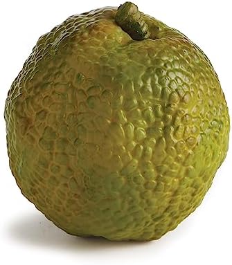 Napa Home Garden Hedge Apple 45 Inch