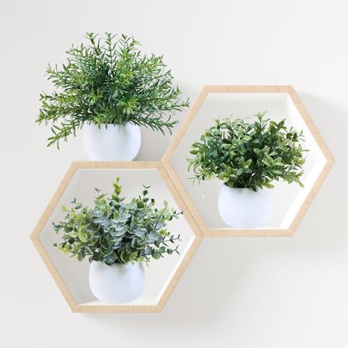 Winlyn Set of 3 Small Artificial Plants in White Concrete Pots