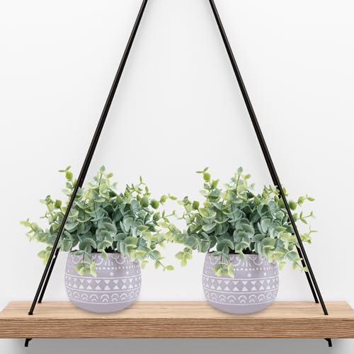 Winlyn 2 Pack Faux Eucalyptus Plants in Gray Ceramic Pots