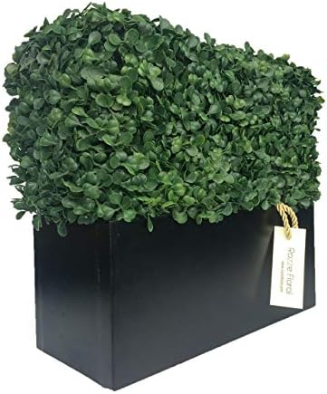 Artificial Boxwood Topiary Shrub Hedge Wall Greenery 12 Inch Rectangle Modern Decor