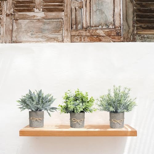 3 Pack Mini Artificial Eucalyptus Plants for Home Office Decor