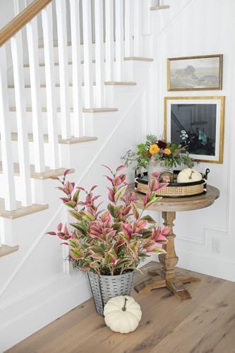 3Pcs Artificial Pink Tradescantia Zebrina Greenery Stems for Vase and Home Decor