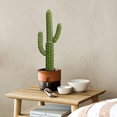 Momoplant Artificial Cactus Plant 24 Inch Tall with Black Planter