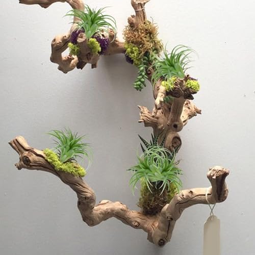Artificial Air Plants 4Pcs Realistic Fake Succulents Low Maintenance Decor