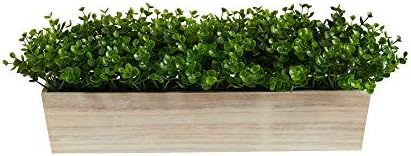 19in Eucalyptus Artificial Plant with Decorative Planter
