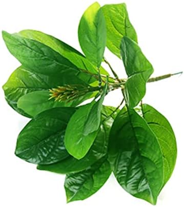 Artificial Boxwood Panels for Wall Decor and Event Backdrop