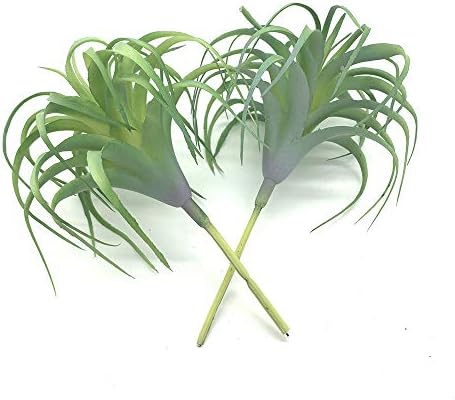 2 PCS Realistic Artificial Air Plants for Home Office Decoration