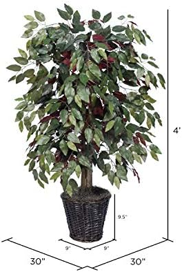 Vickerman 4 Feet Artificial Capensia Bush in Rattan Basket