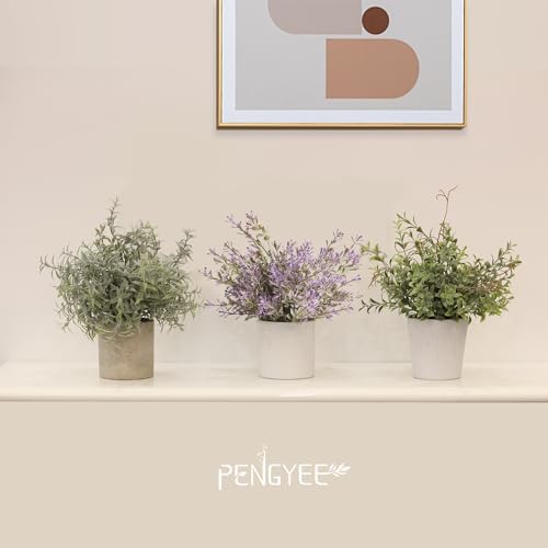 PENGYEE 3 Pack Small Artificial Plants for Indoor Decor