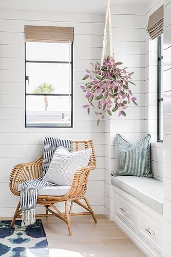 Fake Hanging Plants with Pot 17 Inch Pink Artificial Peperomia Vine Wall Decor