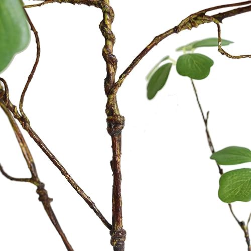 Artificial Eucalyptus Greenery Stems with Fake Lotus Leaves for Home Office Decor 3PCS