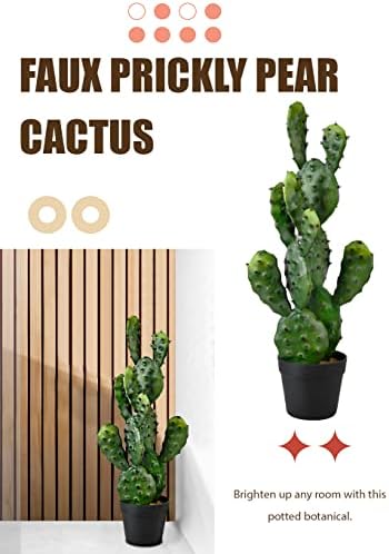 Serene Spaces Living Artificial Prickly Pear Cactus in Black Pot
