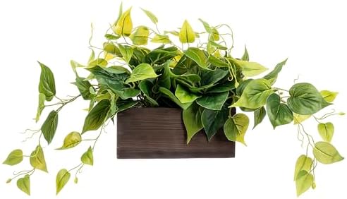 MyGift Vibrant Artificial Pothos Plant in Burnt Brown Wood Planter