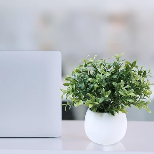 Winlyn Set of 3 Small Artificial Plants in White Concrete Pots