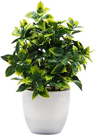 OFFIDIX Artificial Plastic Mini Plants with White Pot Decor