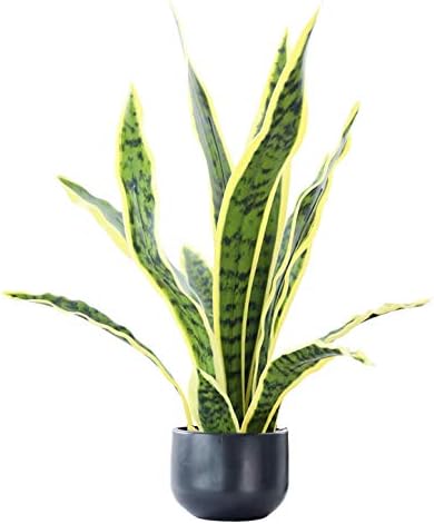 Beebel Artificial Snake Plant 22 Inch Potted Decor