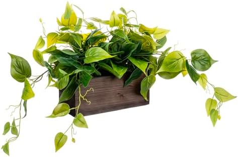 MyGift Vibrant Artificial Pothos Plant in Burnt Brown Wood Planter