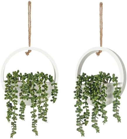 2 Pcs Artificial Hanging Succulents Plants with Lanyard