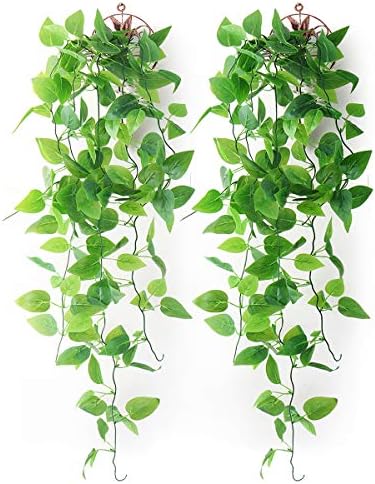 Mocoosy 2 Pack Artificial Hanging Plants with Baskets