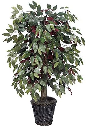 Vickerman 4 Feet Artificial Capensia Bush in Rattan Basket