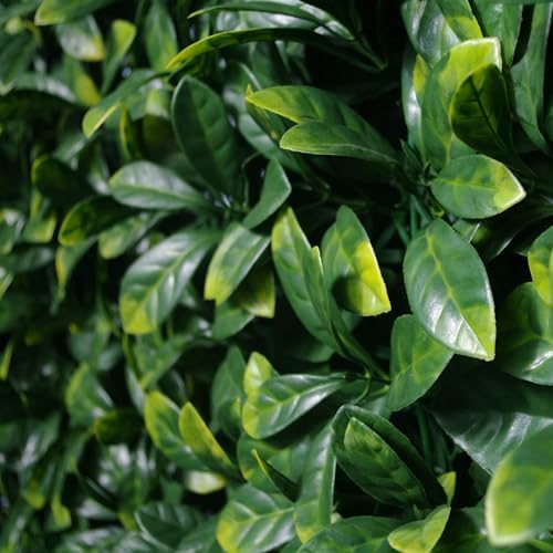 Laurel Artificial Wall Leaves Panel - 40x40 Inches UV Resistant