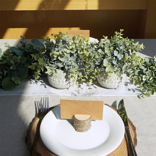 Winlyn 2 Pack Faux Eucalyptus Plants in Gray Ceramic Pots
