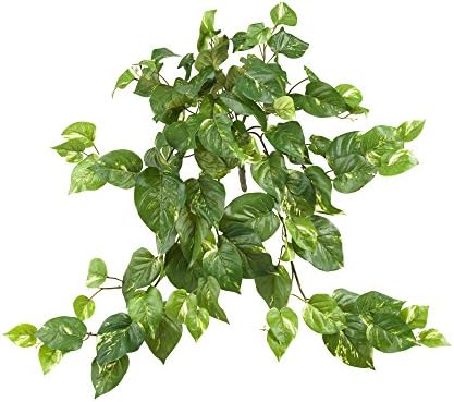 Nearly Natural 30 Inch Pothos Hanging Plants Set of 3