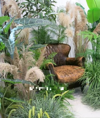 Alonfala 43 Inch Artificial Pampas Grass 2 Pack