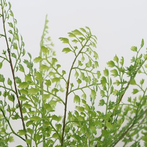 3Pcs Artificial Maiden Hair Fern for Home Decor