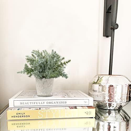 Briful Small Fake Plant Set of 3 Artificial Potted Plants for Home Office Desk and Farmhouse Decor