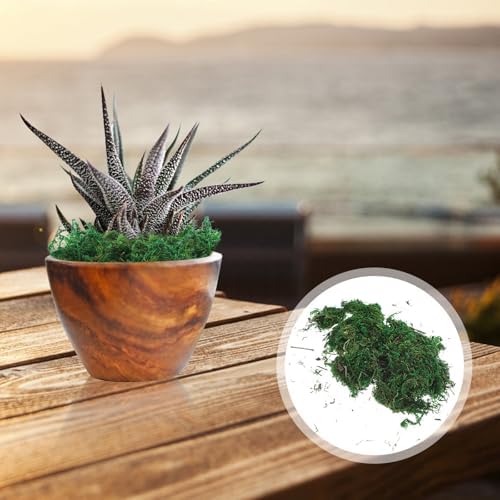 Garneck Artificial Moss for Home Garden Decor