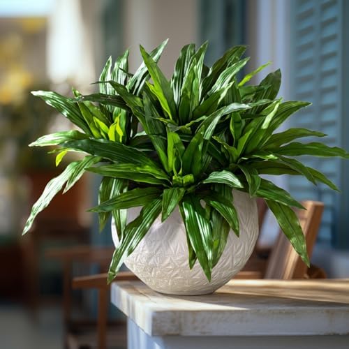 4 Pcs Artificial Dracaena Greenery Stems for Home Decor