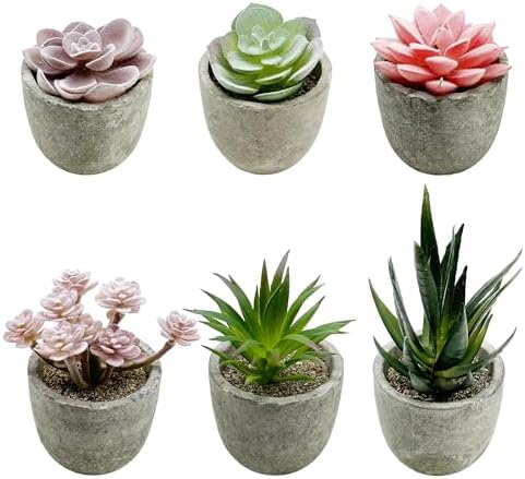 Cayway 6PCS Artificial Succulent Plants Indoor Decor
