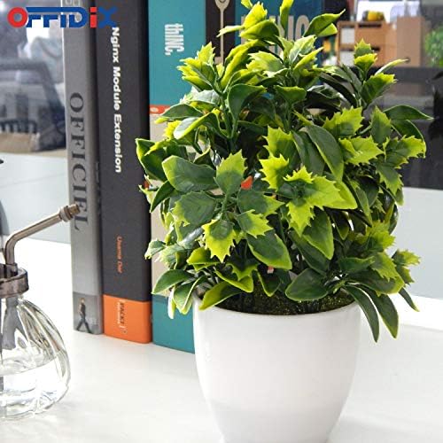 OFFIDIX Artificial Plastic Mini Plants with White Pot Decor