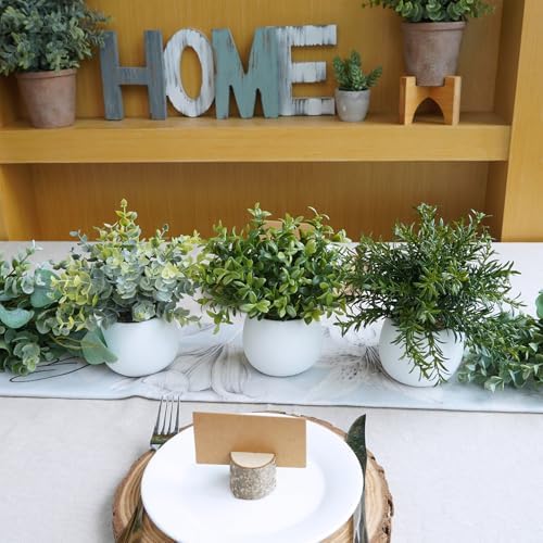 Winlyn Set of 3 Small Artificial Plants in White Concrete Pots