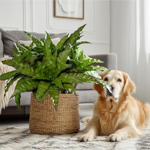 4 Pcs Artificial Greenery Stems Realistic Fake Bird Nest Fern for Home Office Decor