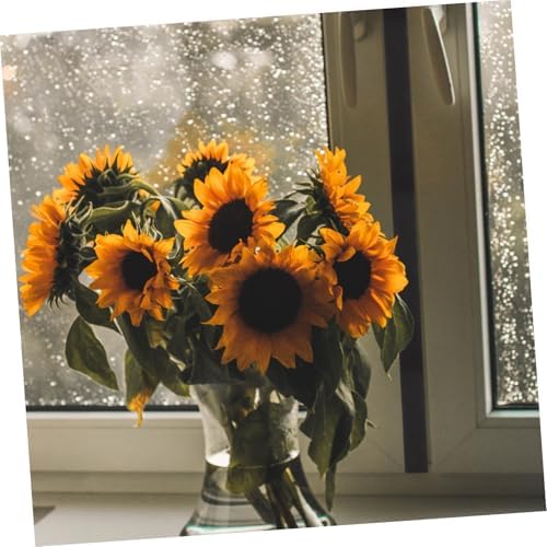 IMIKEYA Door Bottom Windproof Seal Strip Draft Stopper for Under Door Gaps