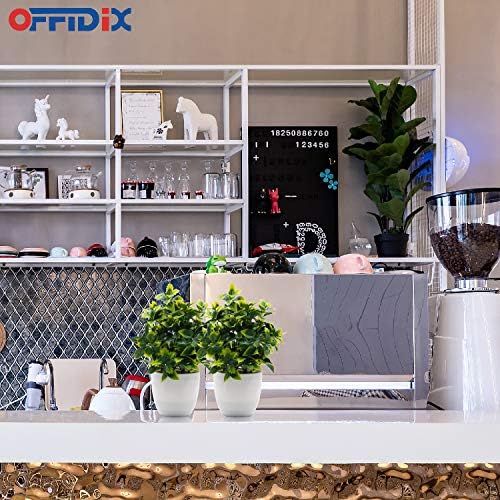 OFFIDIX Artificial Plastic Mini Plants with White Pot Decor