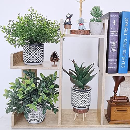 Winlyn Set of 3 Assorted Faux Plants in Geometric Pots