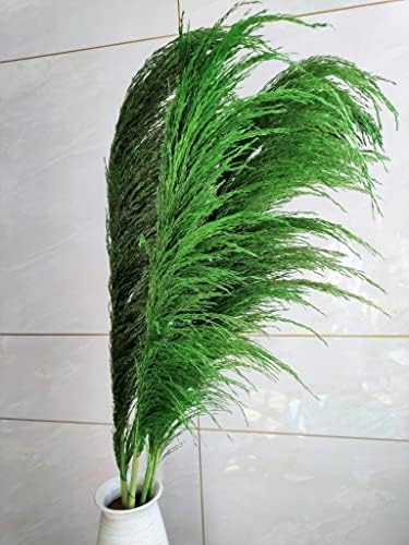 Green Pampas Grass Decor 4pcs 433 Inch Tall Artificial Plant with Natural Dried Flower Aroma
