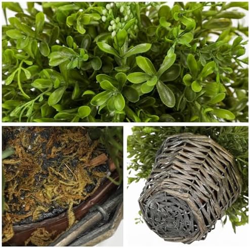 Hollyone Artificial Boxwood Plant in Woven Pot 9 Inch