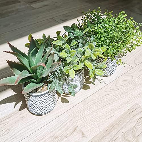 Winlyn Set of 3 Assorted Faux Plants in Geometric Pots